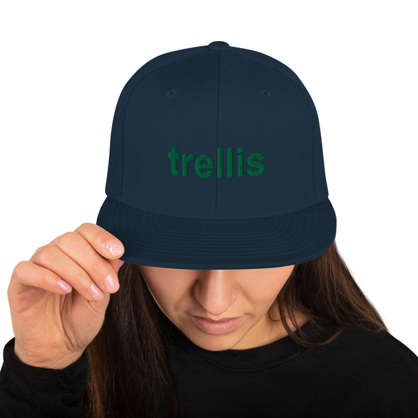 Trellis - Snapback Hat
