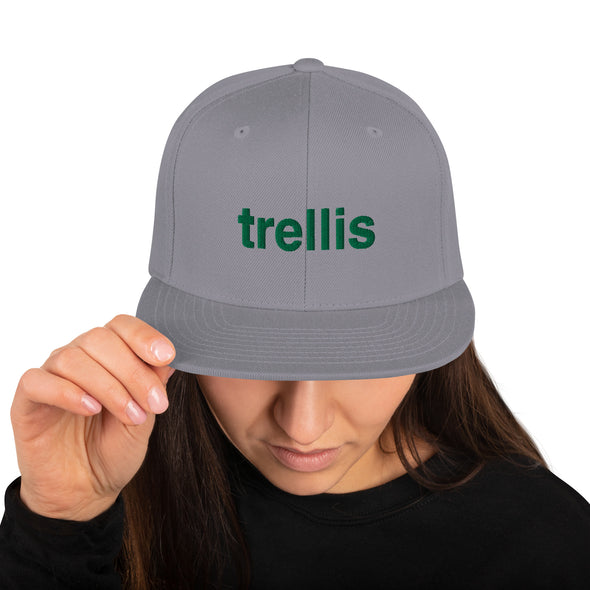 Trellis - Snapback Hat
